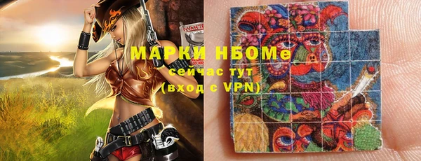 индика Володарск