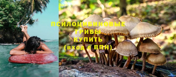 ALPHA-PVP Ростов