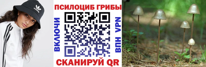 Псилоцибиновые грибы MAGIC MUSHROOMS  хочу наркоту  hydra как зайти  Артёмовск 