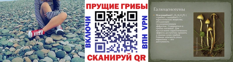 Галлюциногенные грибы Magic Shrooms Артёмовск